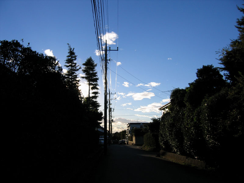 マグリット的逆光