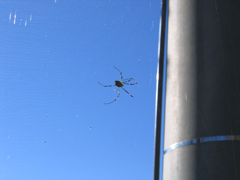 Web2