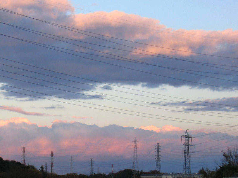 紫雲