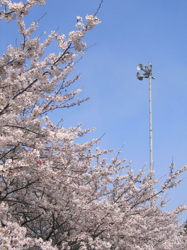 町内放送