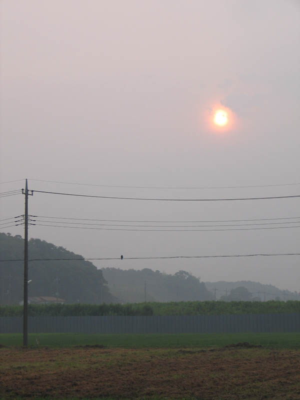 多湿