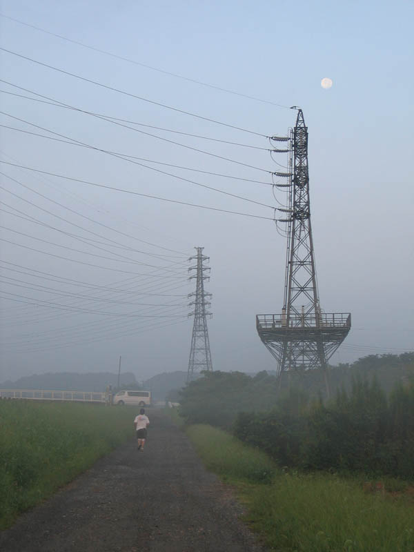 朝靄